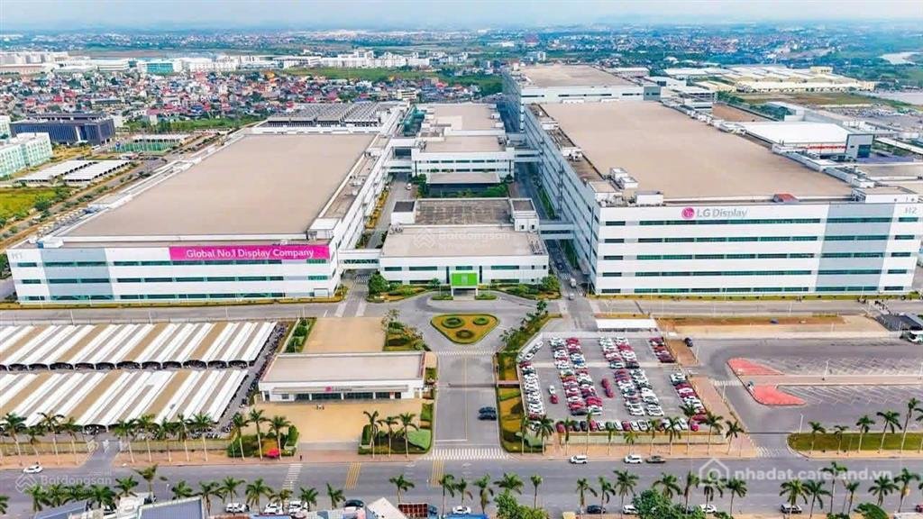 Bán đất thổ cư: 40 lô phân khu đảo dừa tại xã bát trang an lão hải phòng, 650 tr