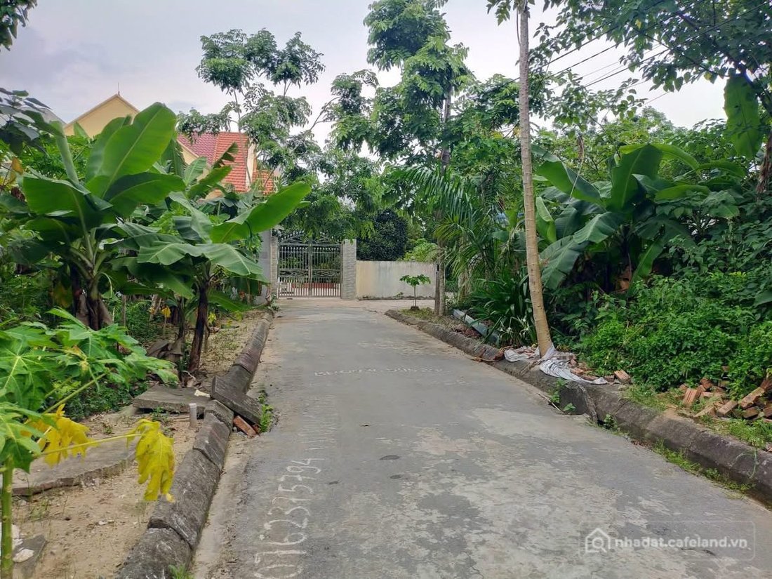 Bán đất thổ cư: Bán đất 100m2 Văn Cú An Hải Hải Phòng