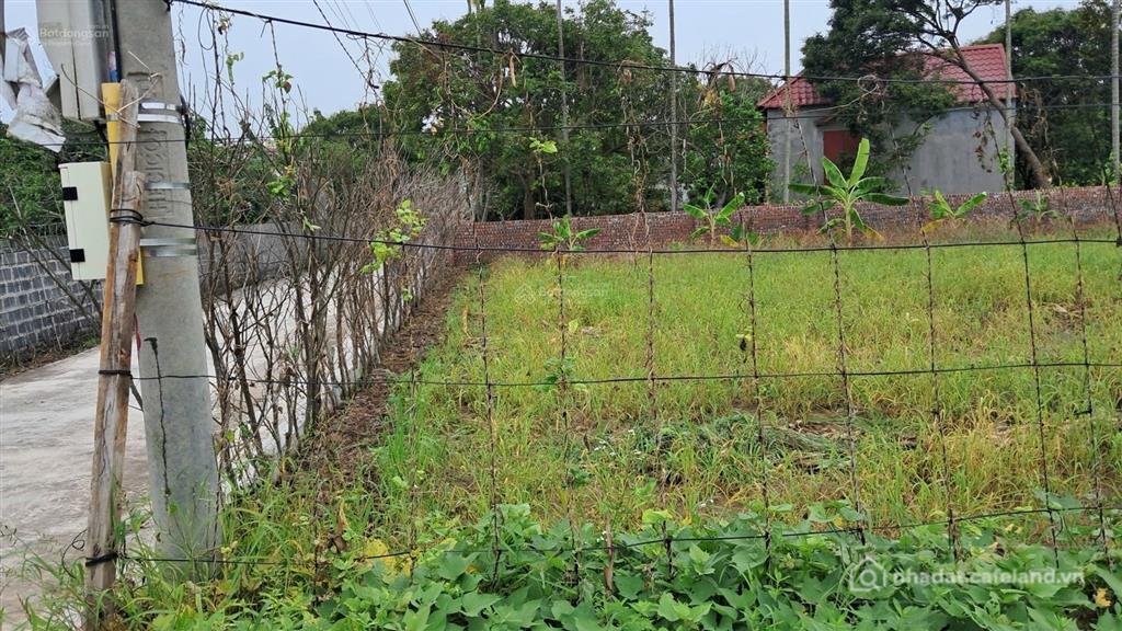Bán đất thổ cư: Khu đất phân lô ô tô đỗ cửa, khu dân trí cao và tập trung dân cư