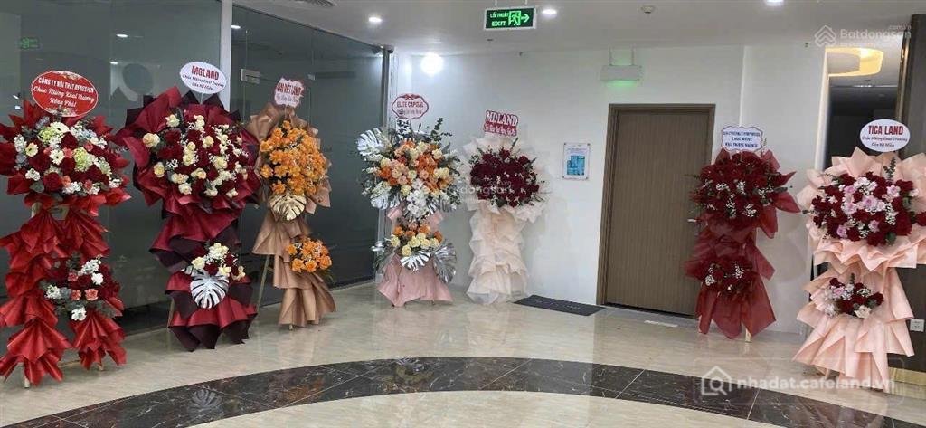 Bán căn hộ chung cư: Nhà ở xã hội happy home tràng cát 2 phòng ngủ, diện tích 58