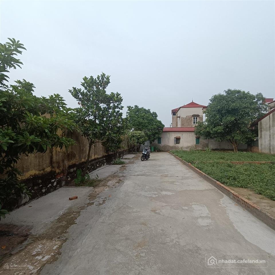 Bán đất thổ cư: Đường 5m, làn 2 quốc lộ 17, phường xuân lâm, khu phố đức hiệp, d