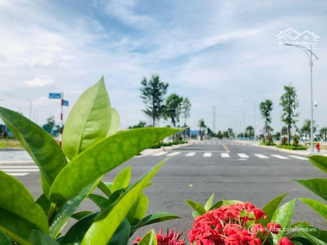 Bán đất thổ cư: Bán đất Nền Dự án Kdc Sân Bay Long Thành, 1,2 Tỷ, 100m2, Giá Cực