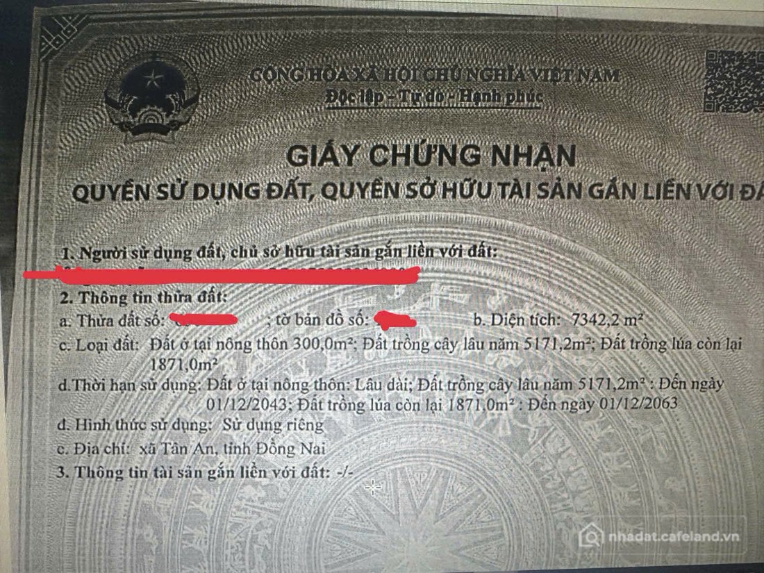 Bán đất thổ cư: Cơ hội sở hữu đất Tân An, Vĩnh Cửu, Đồng Nai – Chủ đi nước ngoài