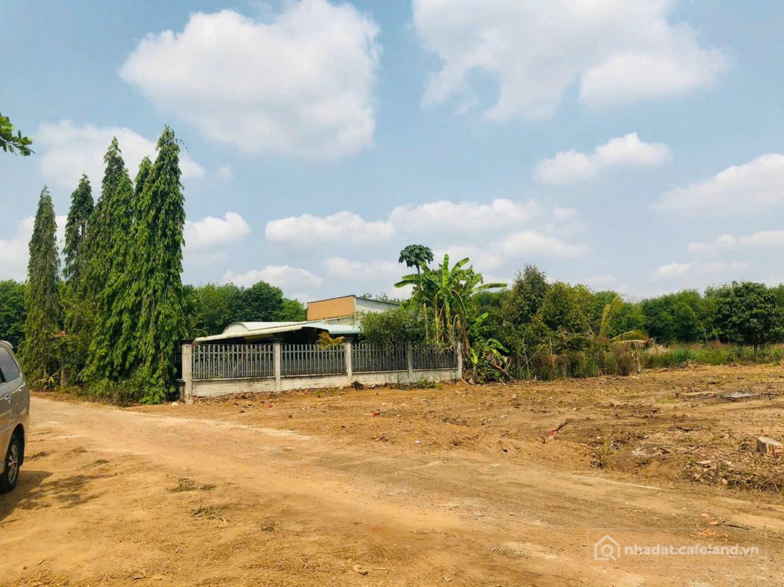 Bán đất thổ cư: Bán đất 1000m² đất trồng cây giá 190 triệu ở Nha Bích, Đồng Nai(