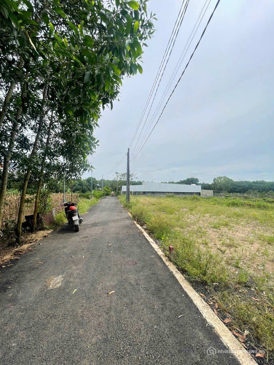 Bán đất thổ cư: ĐẤT BÀU CẠN CŨ (NAY LONG PHƯỚC) NGAY CỔNG SAU SÂN BAY LONG THÀNH