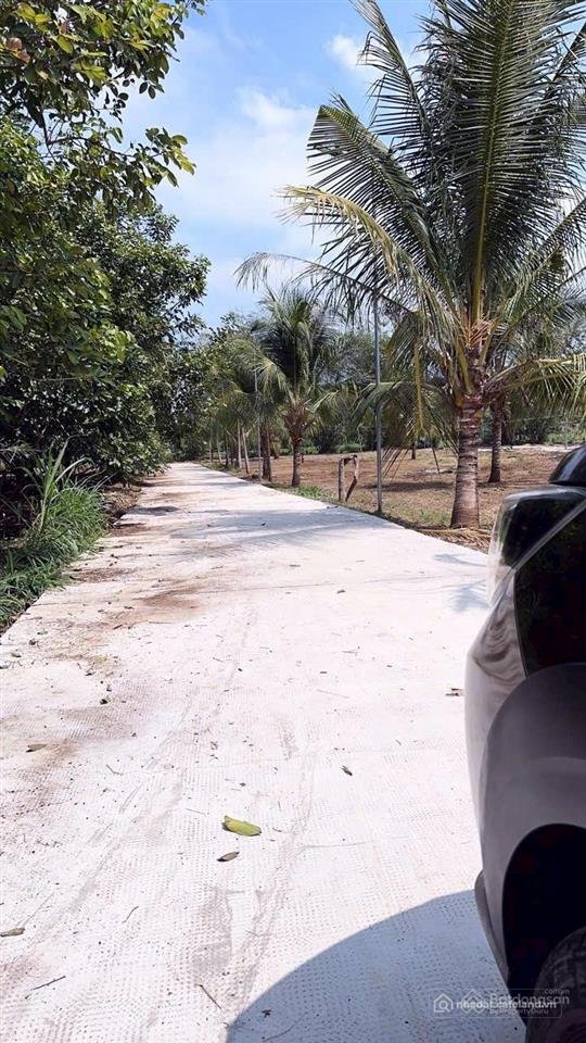 Bán đất thổ cư: Đất sổ hồng 560m² full thổ cư ngay cổng b sân bay long thành