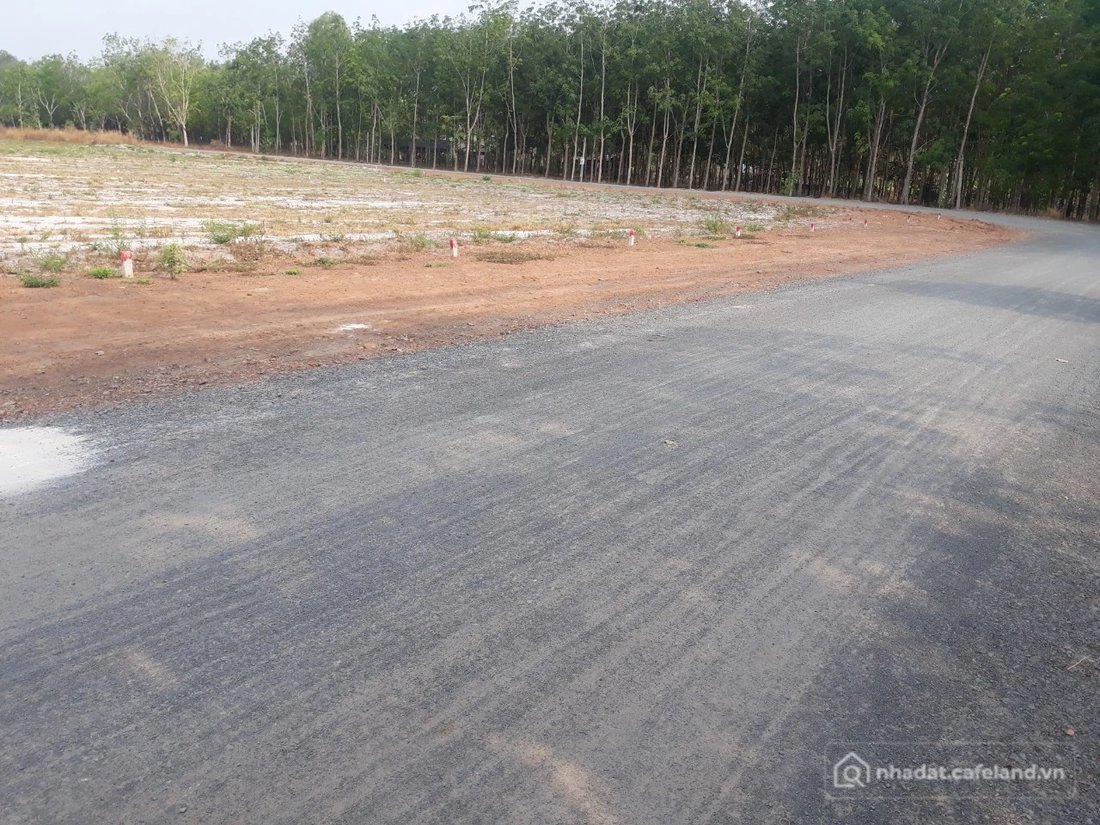 Bán đất thổ cư: Sẵn 3 nền đất đẹp 300m2/450 TRIỆU ngay KĐT Phúc Hưng Golden, Chơ