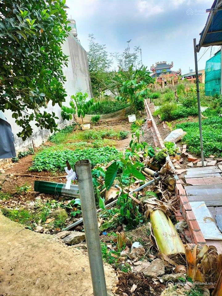 Bán đất thổ cư: Bán đất chính chủ cạnh kcn bàu xéo