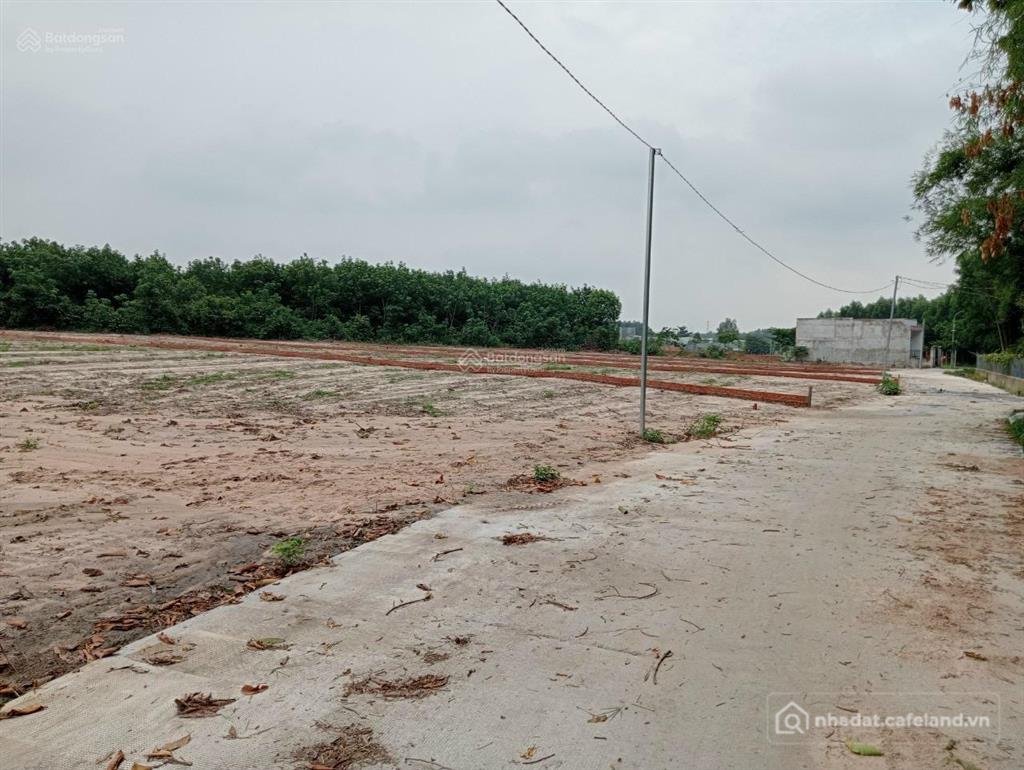 Bán đất thổ cư: Bán đất thổ cư xã bình an, đồng nai ( xã long đức, long thành, đ