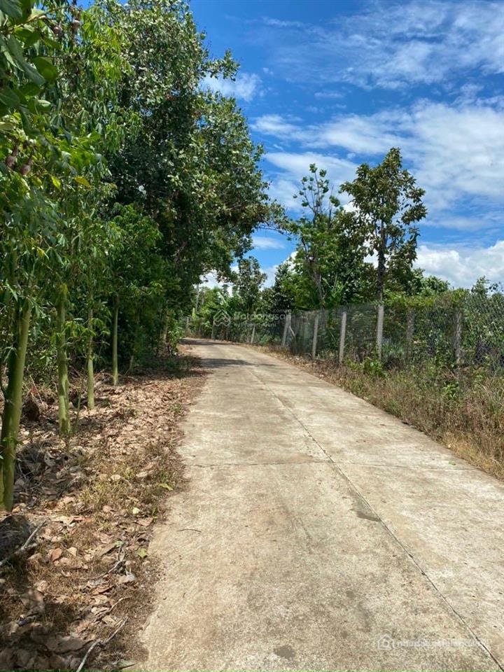 Bán đất thổ cư: Bán 3,5 sào mt bê tông tại xã phú lộc cách nhựa 50m thông thương