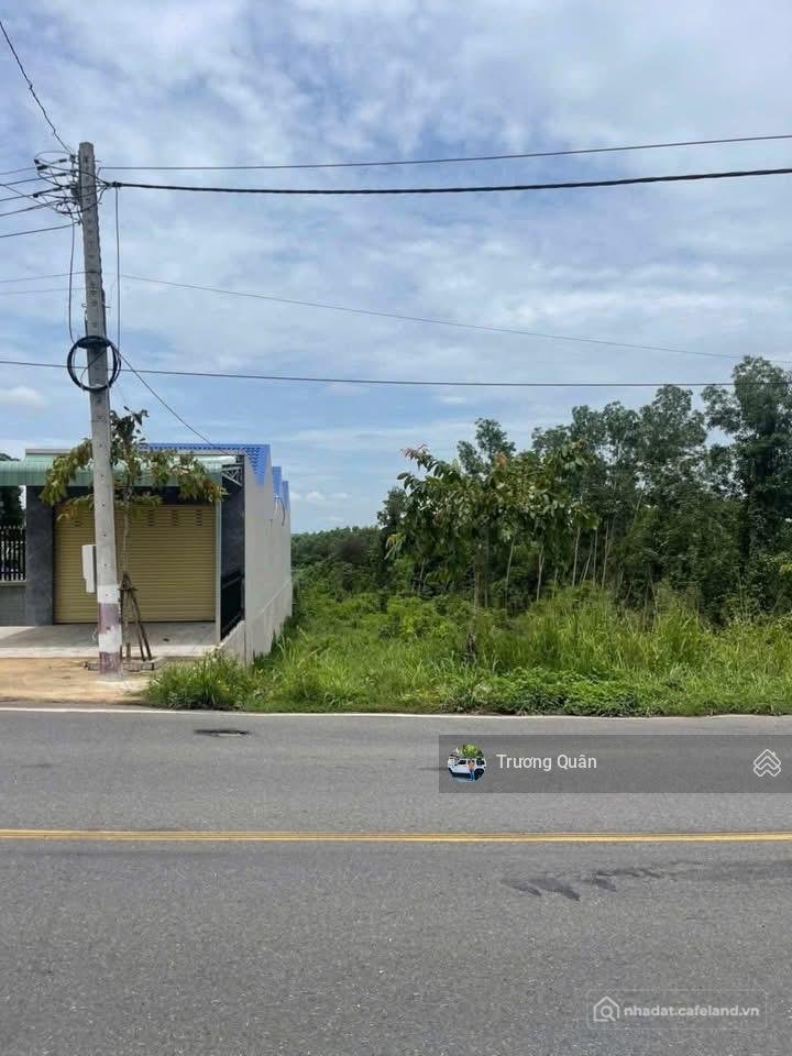 Bán đất thổ cư: Bán đất diện tích 1.200m2 mặt tiền đường dt 768 xã trị an đồng n