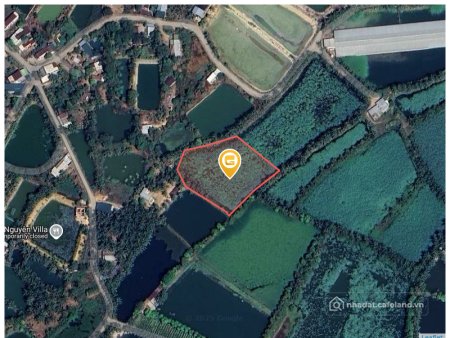 Bán đất thổ cư: Bán đất 4949.2m² ngang 69m giá 2.5 tỷ tại Xã Trà Cổ Huyện Tân Ph