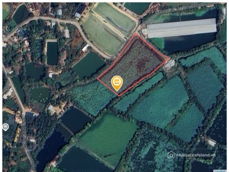 Bán đất thổ cư: Bán đất 8308.1m² tại Xã Trà Cổ Huyện Tân Phú