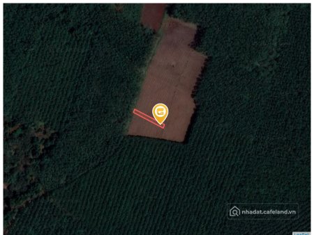 Bán đất thổ cư: Bán đất 251.2m² tại Xã Tân Thành Thành phố Đồng Xoài