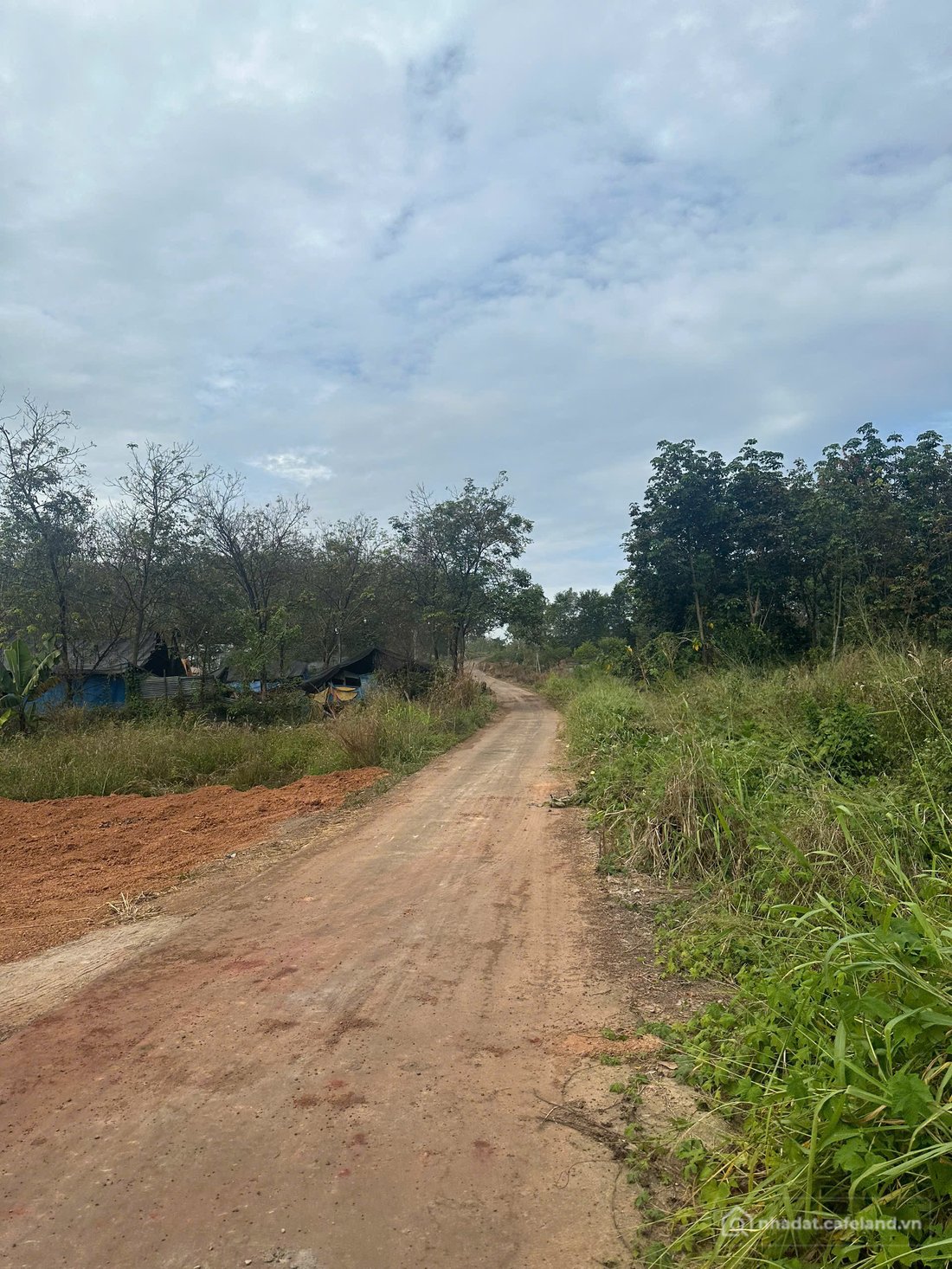 Bán đất thổ cư: Duy nhất 1 lô đất 1000m2 có 200m2tc ngay trung TP Đồng Xoài - Gi