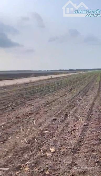 Bán kho, nhà xưởng: Bán đất khu công nghiêp mới Thuộc Tỉnh Tây Ninh