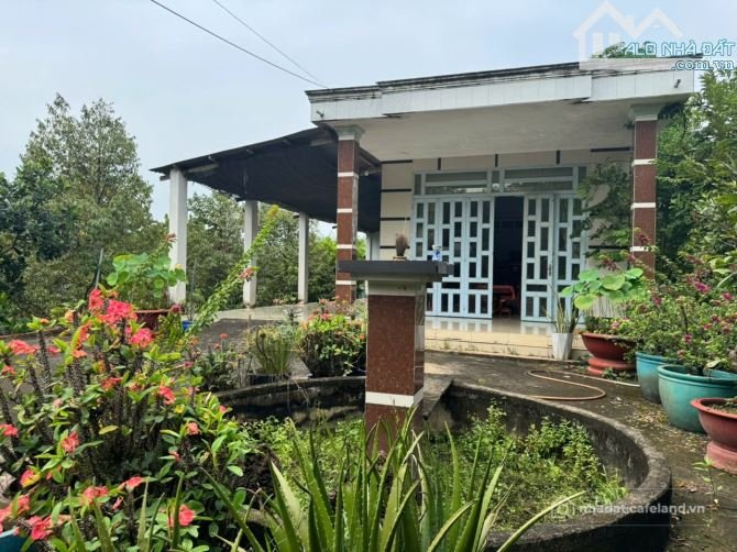 Bán đất nông, lâm nghiệp: Trảng Bàng-Tây Ninh ngộp giảm 2 tỷ còn 2 tỷ 990tr dt 3