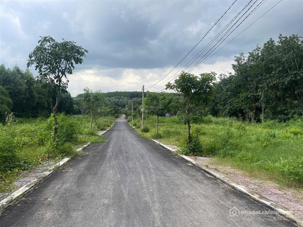 Bán đất thổ cư: Bán đất ấp 3 xã phước bình diện tích 111m2 sổ hồng riêng chỉ 1,8