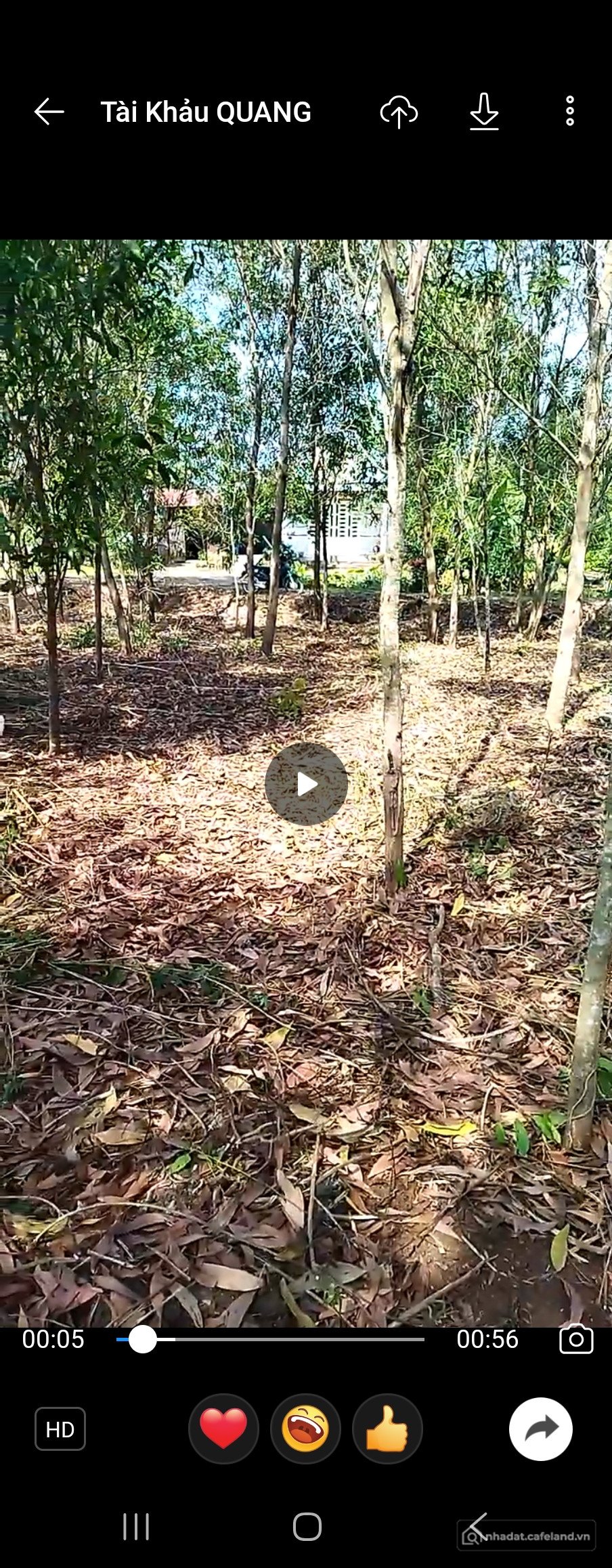 Bán đất thổ cư: Bán đất 1000m² ngang 19.8m giá 688 triệu tại Xã Phú Vinh ( Phú T