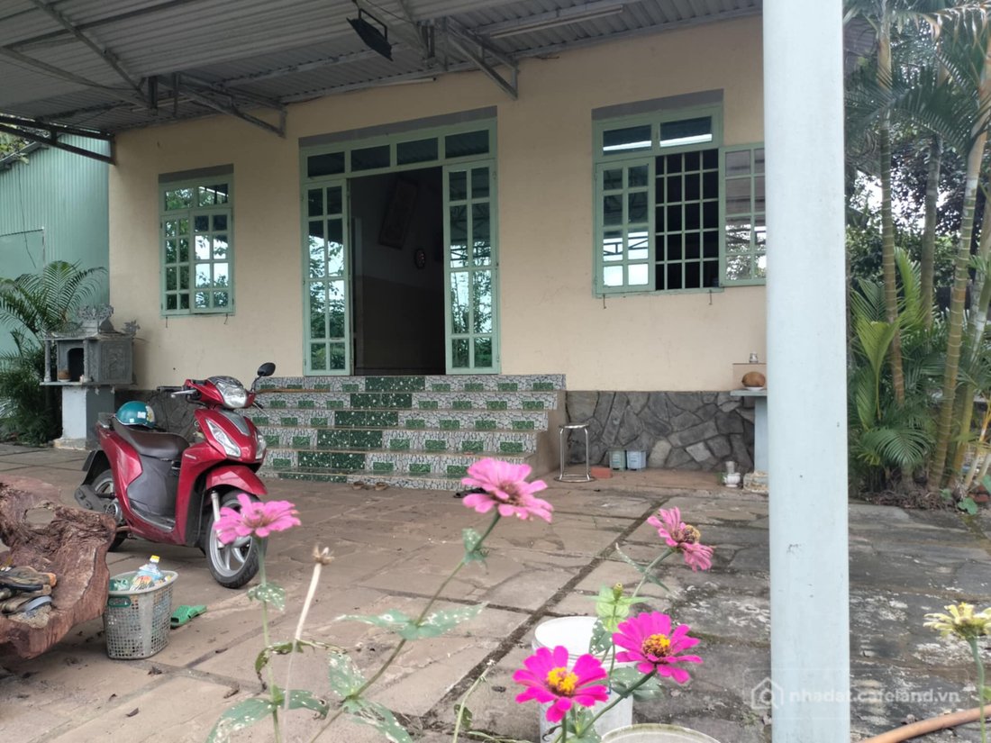 Bán nhà riêng: Bán đất chính chủ Hưng Thịnh Trảng Bom, 1250m² (25x50), sổ hồng r