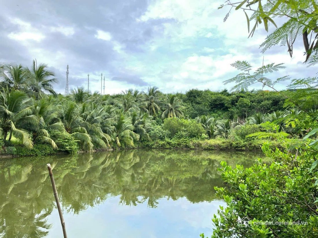 Bán đất thổ cư: Lh: Hiếu 0938 156 791 Bán đìa Phú Hữu Ninh Ích Ninh Hòa Khánh Hò