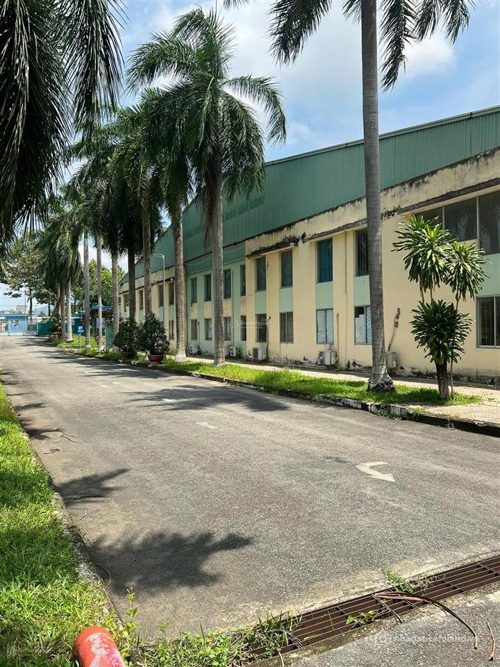 Bán kho, nhà xưởng: Chuyển nhượng nhà máy 5ha cụm công nghiệp bà rịa vũng tàu