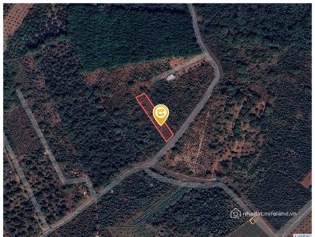 Bán đất thổ cư: Bán đất 1081.8m² ngang 14,3m giá 1.45 tỷ Xã Kim Long Châu Đức