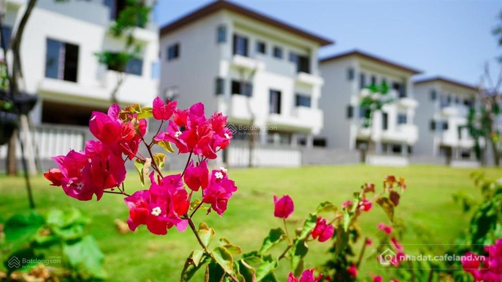 Bán nhà riêng: Định cư nước ngoài cần bán gấp căn nhà liên kế dự án lavida vũng 