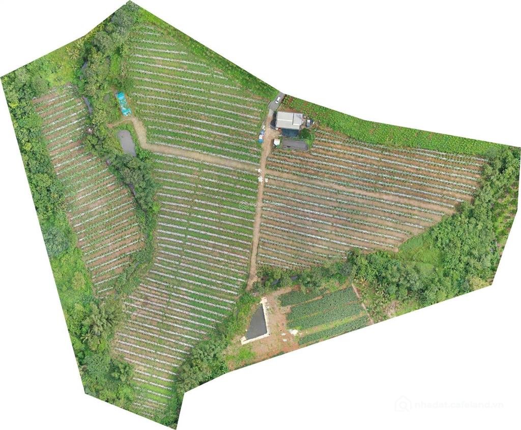 Bán đất thổ cư: Bán đất kim long, châu đức, 1 triệu/m², tổng 30 tỷ có nhà sẵn, c