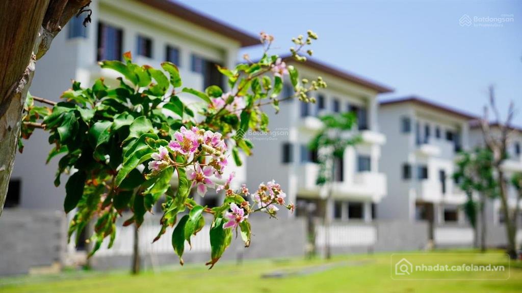 Bán nhà riêng: Bán gấp bt la vida residences, 20 tỷ, 288m2, 5pn, 5wc, vũng tàu, 