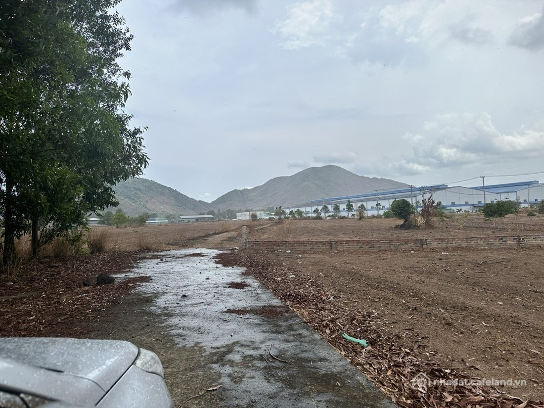 Bán đất thổ cư: Bán 2.6 Ha Đất ở 2Mt có 600 thổ cư Phú Mỹ. Tóc Tiên. Tx Phú Mỹ