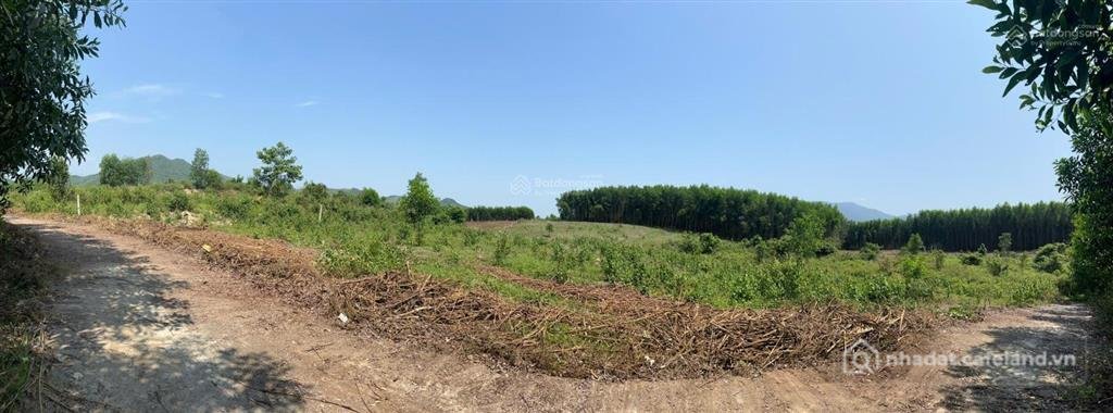 Bán đất thổ cư: Bán gấp lô đất 2196m2 mặt tiền 50m tại diên tân gần khu dân cư