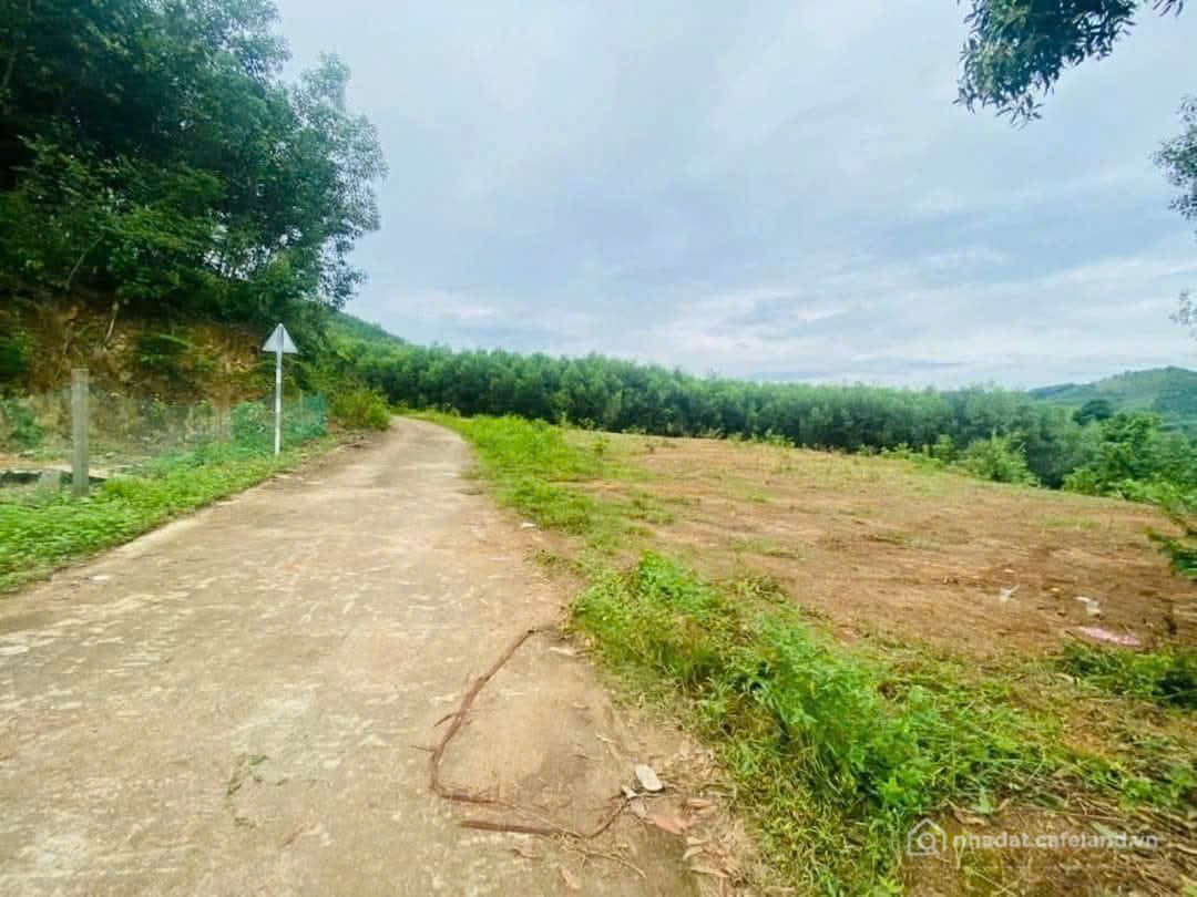 Bán đất thổ cư: Bán gấp lô đất Khánh Vĩnh thu hồi vốn