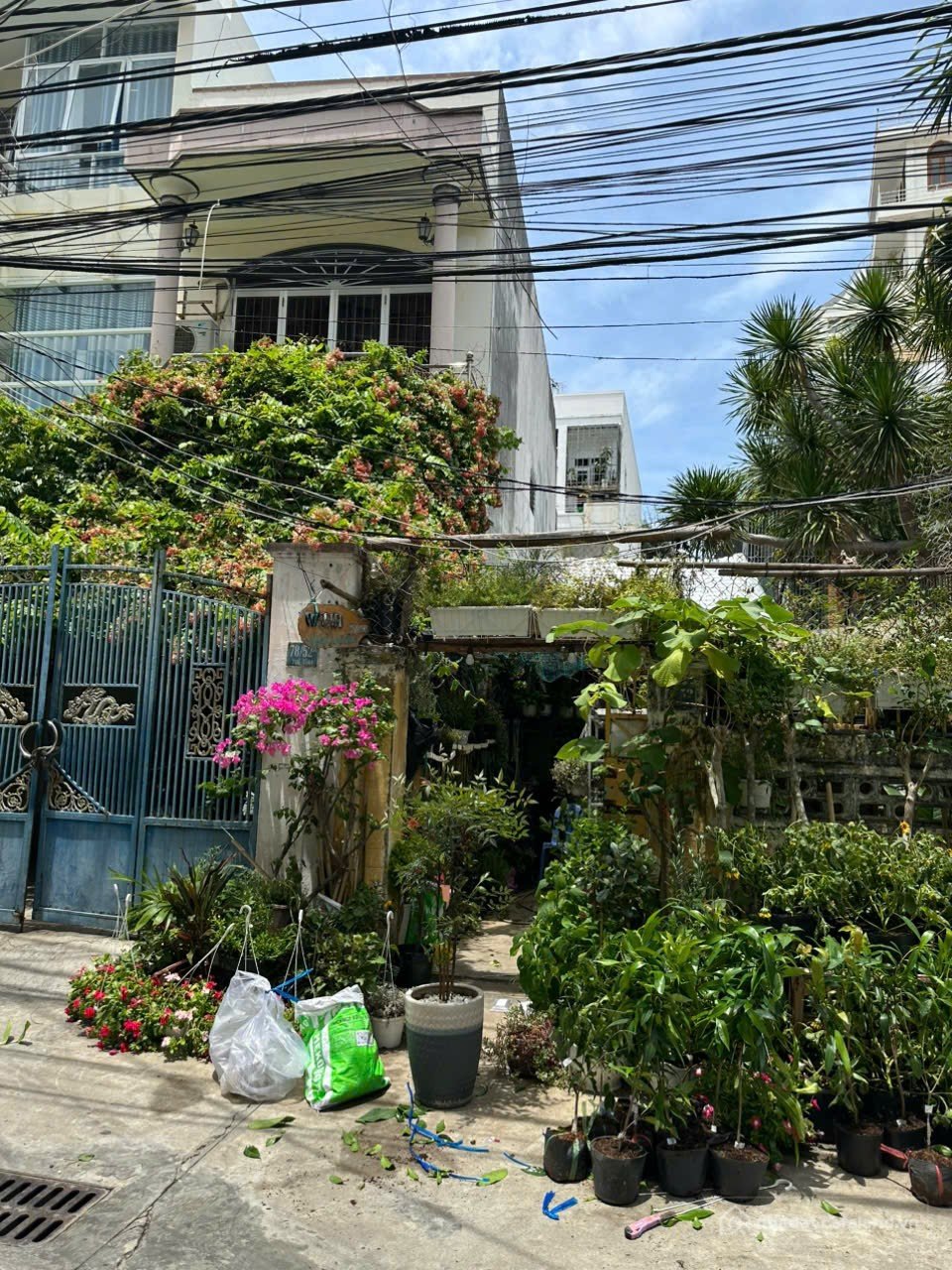 Bán đất thổ cư: Bán đất 193.2m² ngang 7.9m giá 24.88 tỷ tại Phường Lộc Thọ Thành