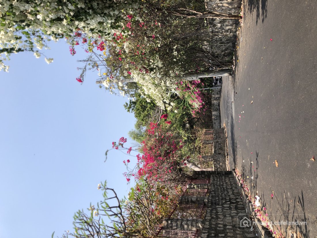 Bán đất thổ cư: Bán đất Ngô thuỵ sỹ đà lạt