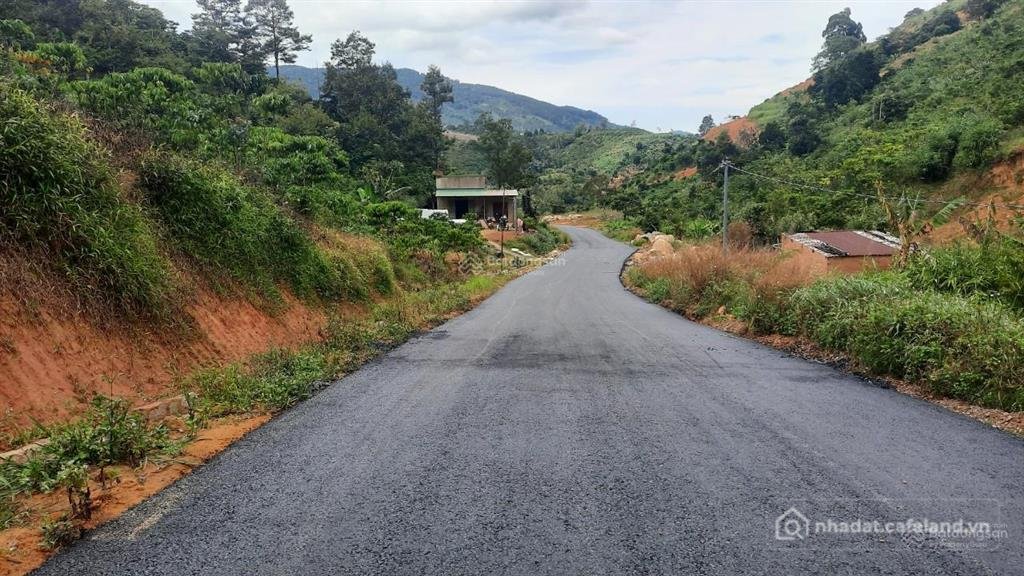 Bán đất thổ cư: Bán 14000m2 đất trồng cây lâu năm thôn 9 xã lộc nam, bảo lâm, lâ