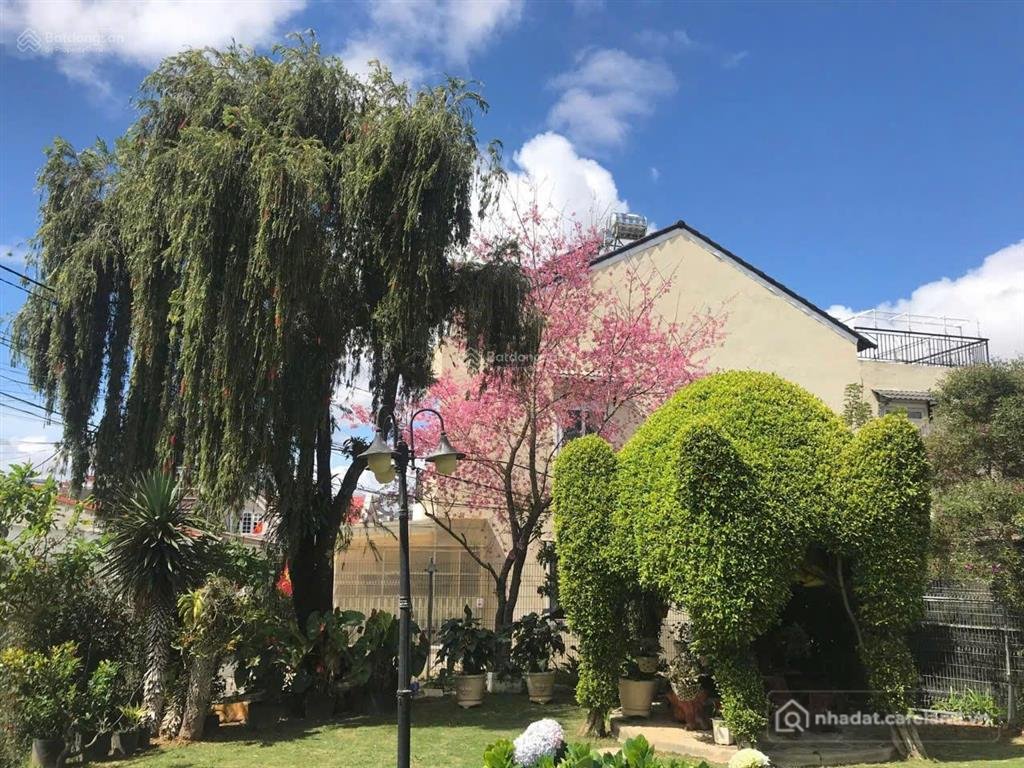 Bán đất thổ cư: Đất mặt tiền khu biệt thự cổ ngô văn sở thế đất tựa đồi thông 5h