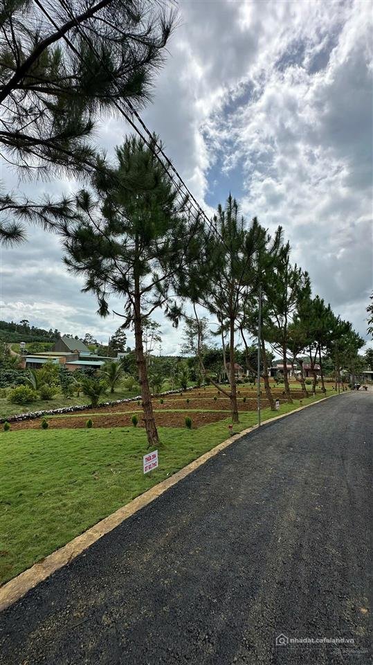 Bán đất thổ cư: Bán đất tại xã lộc phú, 350 triệu, 110m2, mặt tiền 5m