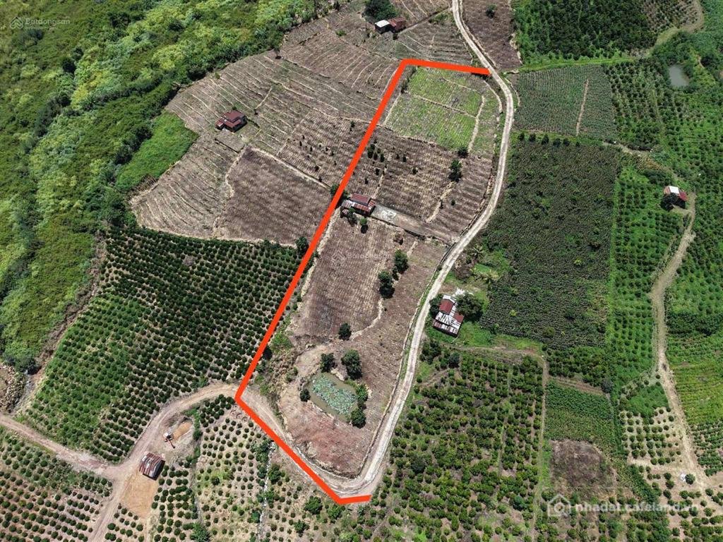 Bán đất thổ cư: Đất view sông đồng nai 6 sổ sẵn, giá rẻ nhất tân nghĩa di linh