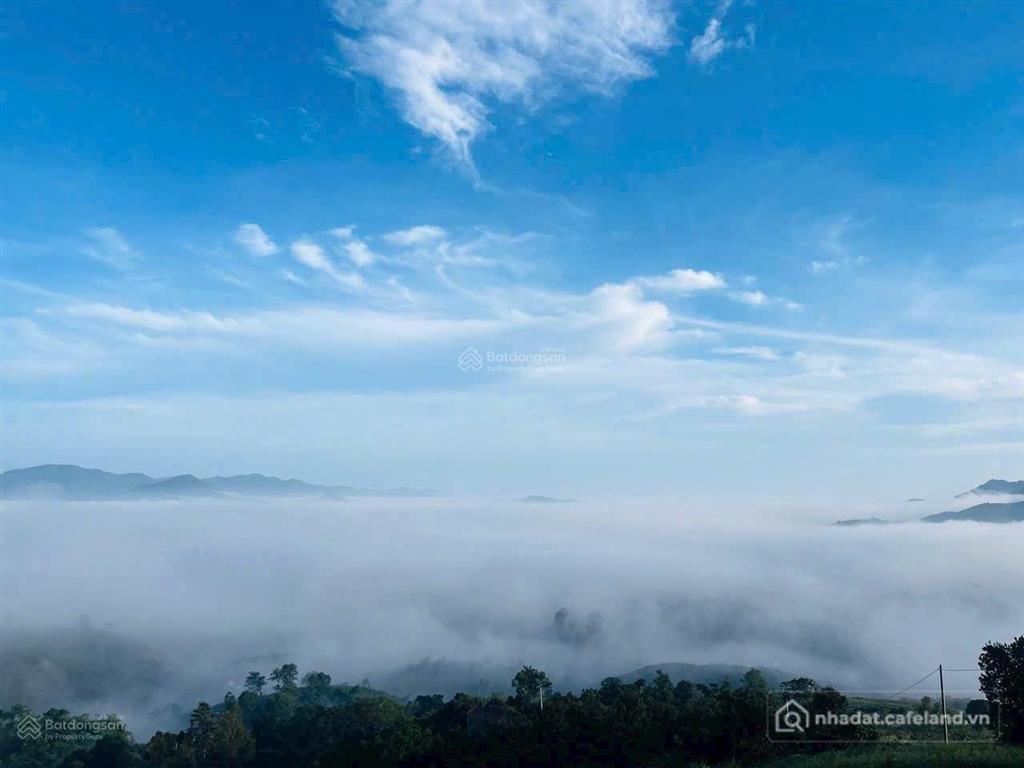 Bán đất thổ cư: Cần bán 1000m2 trong khu cộng đồng làng 0a aman, cư dân sài gòn 