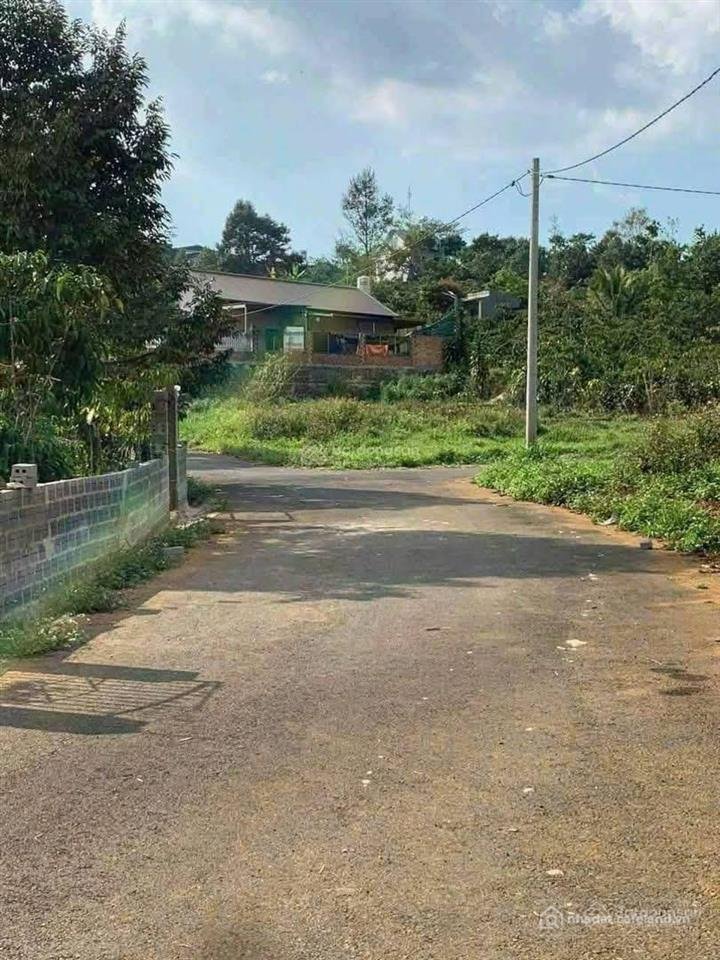 Bán đất thổ cư: Cần vốn kinh doanh bán gấp đất tại xã hoà bắc, di linh, lâm đồng