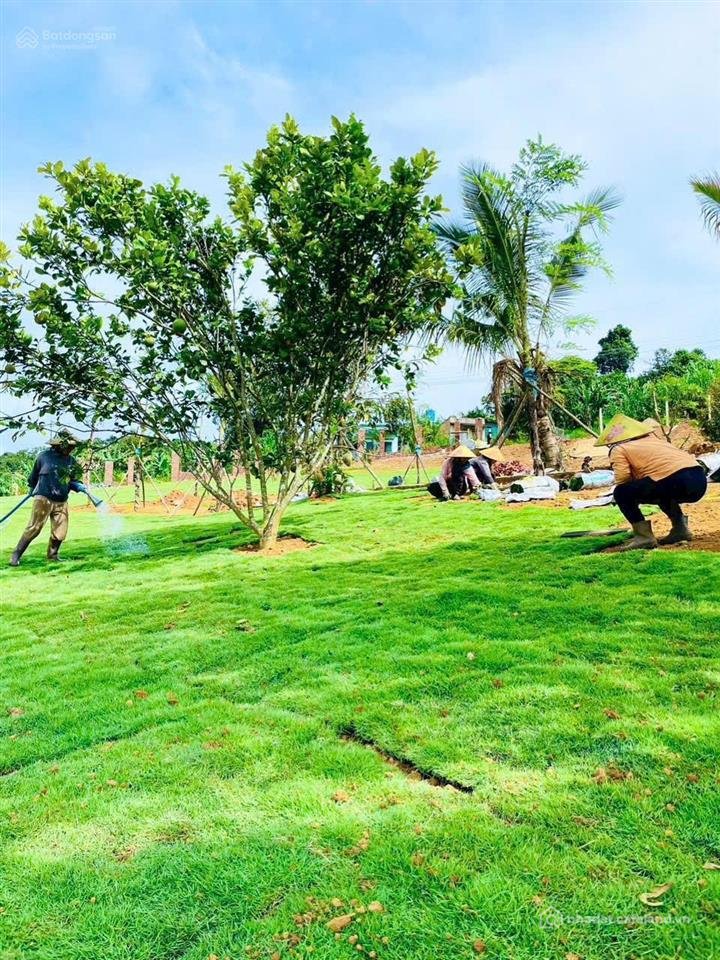 Bán đất thổ cư: Bán lỗ lô đất khu top garden hill lộc đức mặt tiền đường nhà nướ