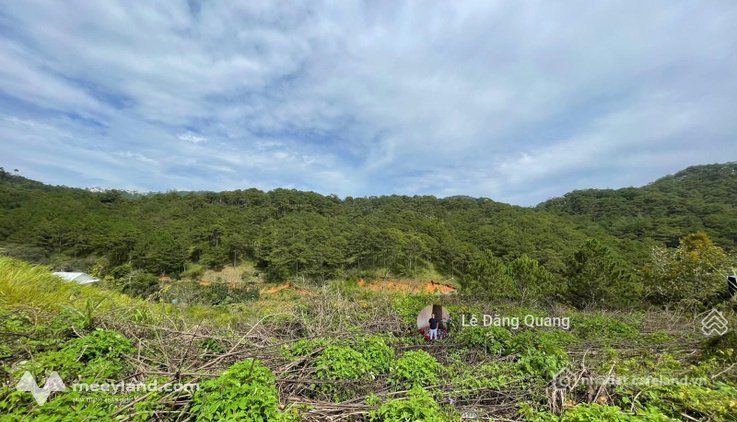 Bán đất thổ cư: Bán lô đất view rừng thông đường Hoàng Hoa Thám, thành phố Đà Lạ