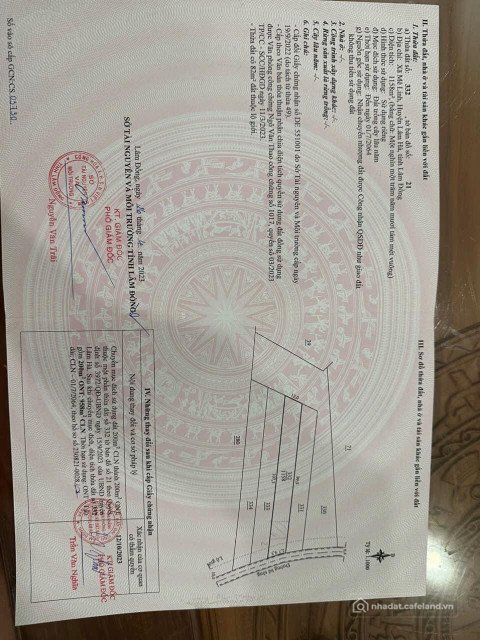 Bán nhà riêng: PINE HILL VILLA - CĂN VILLA NGHỈ DƯỠNG GIỮA RỪNG THÔNG ĐÀ LAT