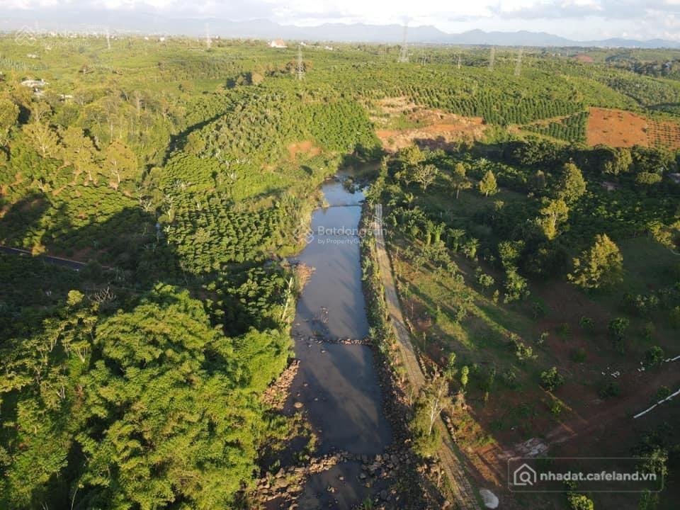 Bán đất thổ cư: Bán 9900m2 đất ven sông đại nga, tp bảo lộc, phù hợp xây khu ngh