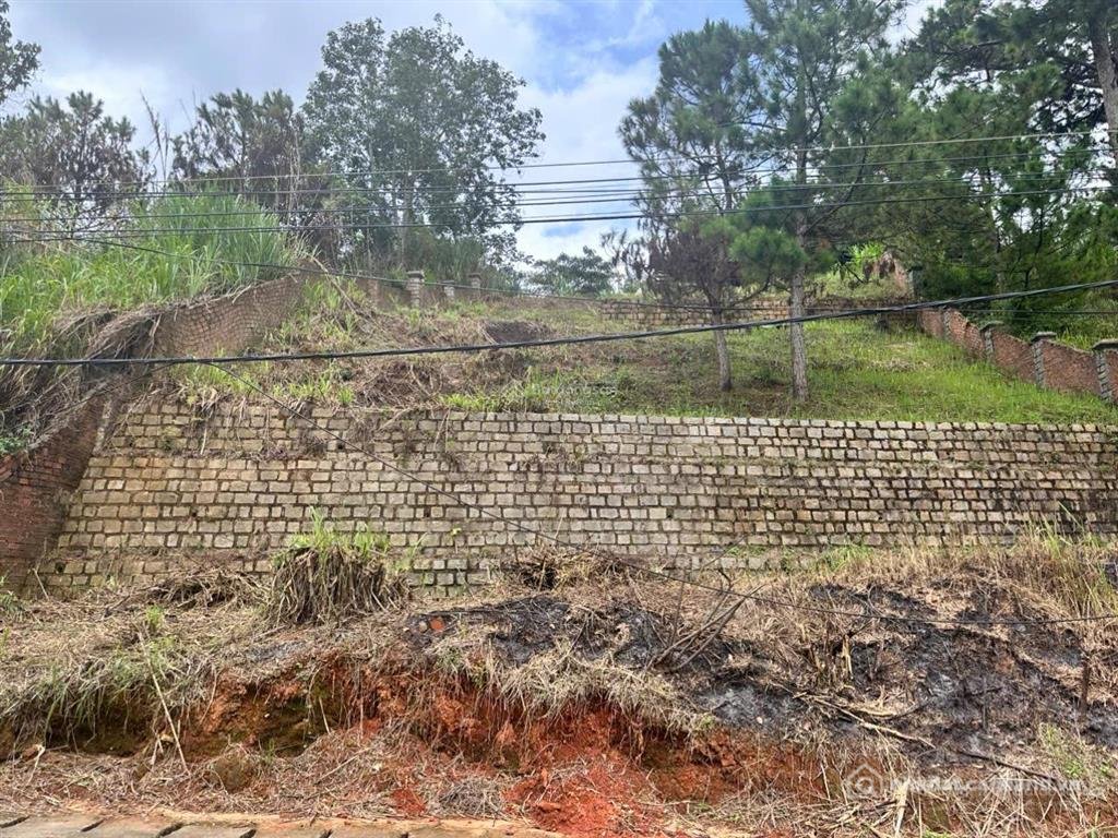 Bán đất thổ cư: Cần tiền bán gấp đất mặt tiền đẹp đường đống đa đà lạt. chính ch