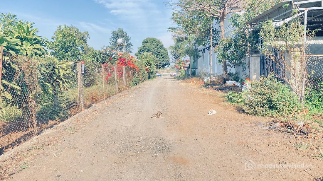 Bán đất thổ cư: 2 lô đất nhánh lý thái tổ, đối diện hồ nam sơn, trung tâm đức tr