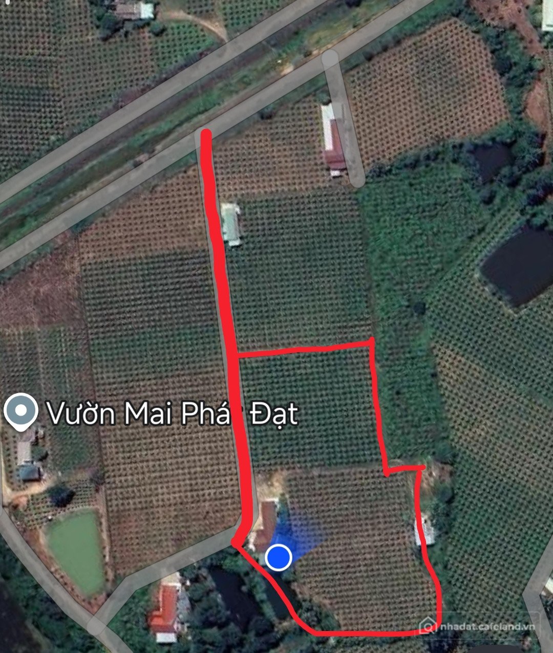 Bán đất thổ cư: cần nhà bán đất nhà cửa đầy đủ tiện nghi cây nhà trồng cây thanh