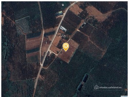 Bán đất thổ cư: Bán đất 564,4m² 450 triệu tại Xã Lộc Ngãi Huyện Bảo Lâm