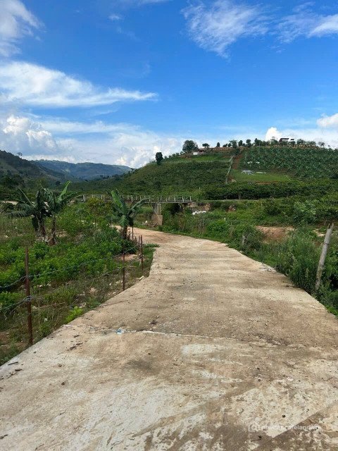 Bán đất thổ cư: Gấp quá Gấp Không Thể Chậm Hơn Nữa Dí quá dí Bán Liền 1344m2 giá